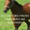 Der Unterschied zwischen Englischreiten und Westernreiten