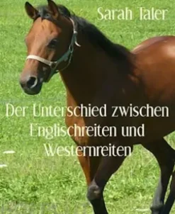 Der Unterschied zwischen Englischreiten und Westernreiten