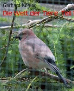 Die Welt der TiereTeil 1