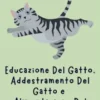 Educazione Del Gatto, Addestramento Del Gatto e Alimentazione Del Gatto