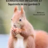 Eichhörnchen im Garten 3 / Squirrels in my garden 3