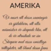 Ett Annat Amerika