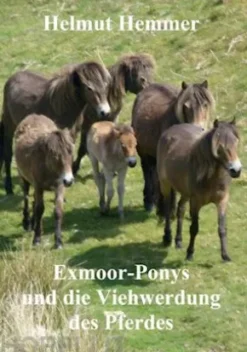 Exmoor-Ponys und die Viehwerdung des Pferdes