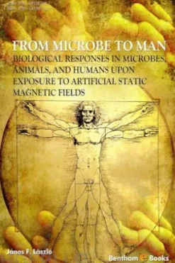From Microbe to Man: Biological responses in microbes, animals and humans upon exposure to artificial static magnetic fields