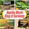 Fun Facts about Komodo Dragons, Green Iguanas, Anoles and Leopard Geckos
