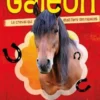 Galéon 1- le cheval qui aimait les rapaces