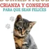 Gatos Domésticos Crianza y Consejos Para Que Sean Felices