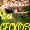 Geckos halten für Anfänger: Wie die Geckohaltung leicht gelingt und Sie die häufigsten Fehler sicher vermeiden - inkl. Tipps für den Gecko Kauf