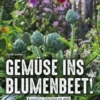 Gemüse ins Blumenbeet!