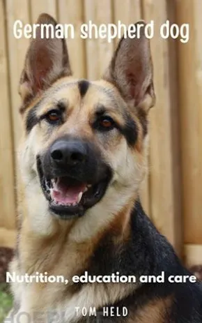 German Stepherd Dog