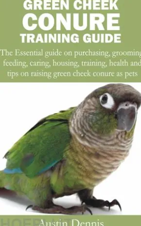 Green Cheek Conure Training Guide