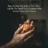 Grief Recovery for Pet Loss