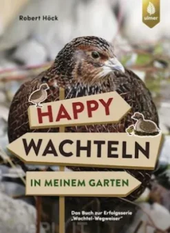 Happy Wachteln in meinem Garten
