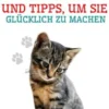 Hauskatzenzucht und Tipps, um sie glücklich zu machen