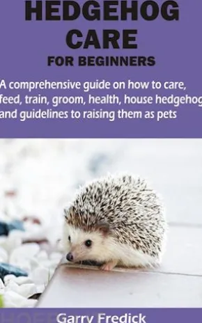HEDGEHOG CARE FOR BEGINNERS