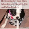 Herzkrankheiten beim Hund behandeln mit Homöopathie und Schüsslersalzen