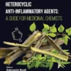 Heterocyclic Anti-Inflammatory Agents: A Guide for Medicinal Chemists
