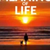 How to Find Meaning of Life