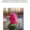 Ich bin Gerd Steinkoenig mit meinem 103. Buch mit Musik, Seele, Fotos, Lyrics