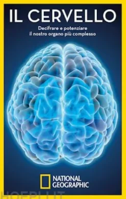 Il cervello