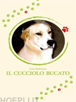 Il cucciolo bucato