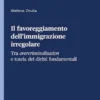 Il favoreggiamento dell'immigrazione irregolare - e-Book