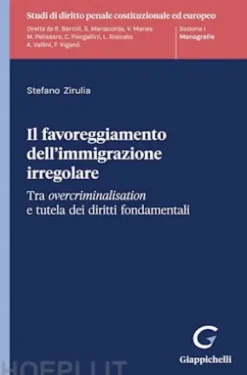 Il favoreggiamento dell'immigrazione irregolare - e-Book