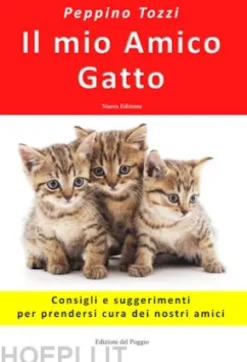 Il mio amico gatto