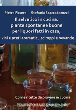 Il selvatico in cucina: piante spontanee buone per liquori fatti in casa, vini e aceti aromatici, sciroppi e bevande