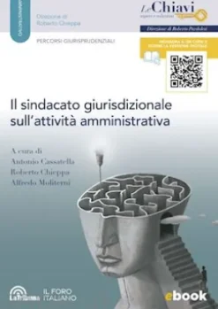 Il sindacato giurisdizionale sull'attività amministrativa
