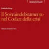 Il sovraindebitamento nel codice della crisi