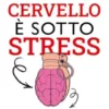 Il tuo cervello è sotto stress