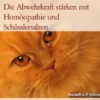Immunschwäche bei Katzen Die Abwehrkraft stärken mit Homöopathie und Schüsslersalzen