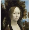 I moti mentali e la biografia di Ginevra
