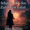 In das Leben der Schatten. Wo der Zufall kein Zufall ist.