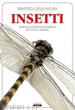 Insetti