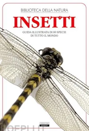 Insetti