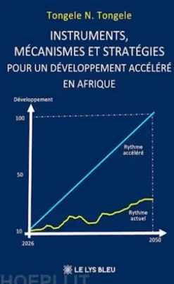 Instruments, mécanismes et stratégies pour un développement accéléré en Afrique