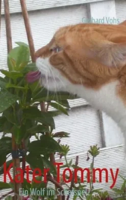 Kater Tommy