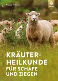 Kräuterheilkunde für Schafe und Ziegen