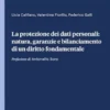 La protezione dei dati personali: natura, garanzie e bilanciamento di un diritto fondamentale - e-Book
