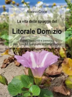 La vita delle spiagge del Litorale Domizio