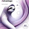 Lazy & Intelligent Leadership Advantage