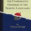 Lectures on the Comparative Grammar of the Semitic Languages