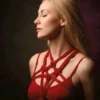 Le Shibari