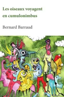 Les oiseaux voyagent en cumulonimbus