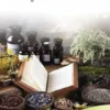 Les Plantes Médicinales