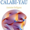 L’homme de Calabi-Yau