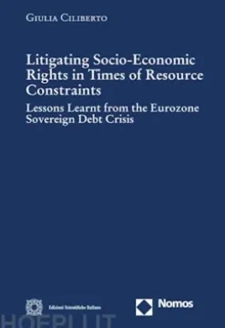 Litigating Socio-Economic Rights in Times of Resource Constraints