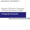 Litigation (collective) Strategies To Protect Gig Workers' Rights